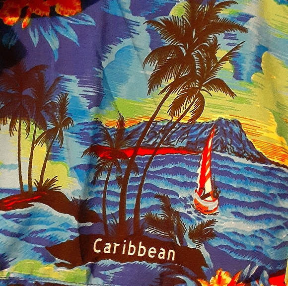 Blue Caribbean Island style Vacation Shirt ,Size Large! - Picture 2 of 2